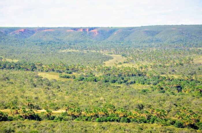 Parque Grande Sertão Veredas