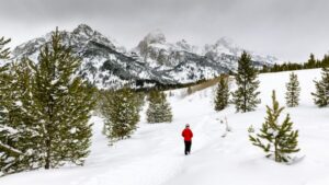 grand teton national park wyoming