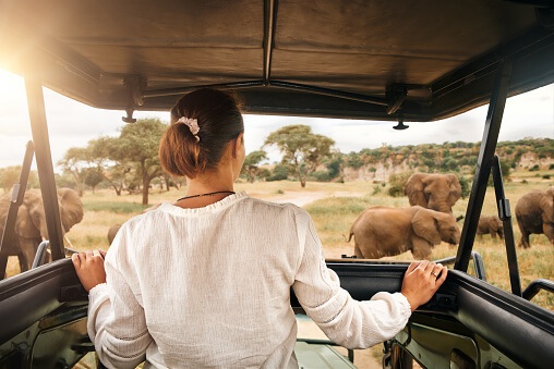 A Grande Migração no Safari da Tanzânia