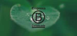 Empresa B: como a Goya promove ações para um mundo mais sustentável?