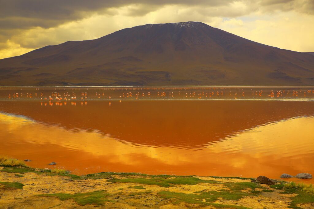 Laguna Colorada - Bolívia