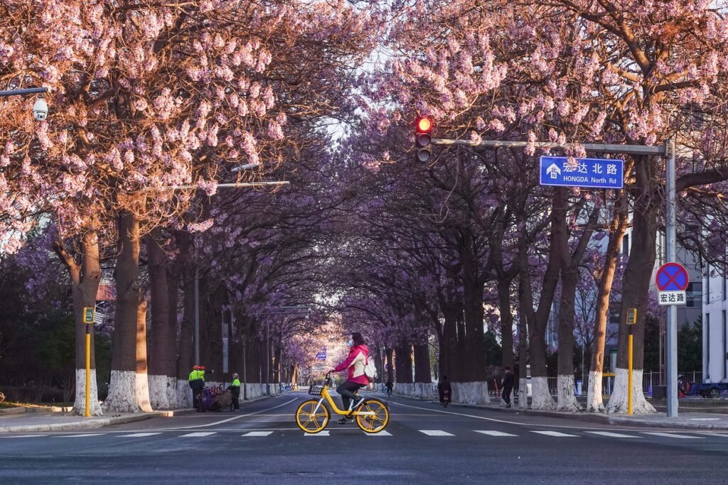 Ciclismo pelo mundo descubra países perfeitos para quem ama um passeio de bicicleta - Pequim - China (Foto: iStock)